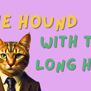 The Hound with the Long Hair